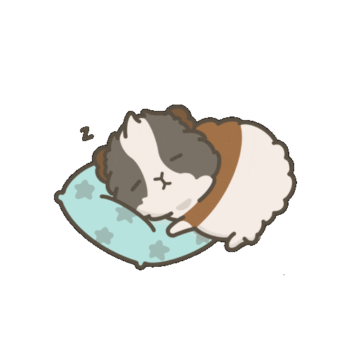 Sleep Sticker