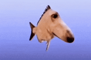 Tropical Fish GIF
