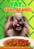 Henlo Hooman Fren GIF by PetJuvenate - PJ