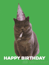 funny birthday cat gif