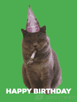 Happy Birthday Cat GIF by Unscreen
