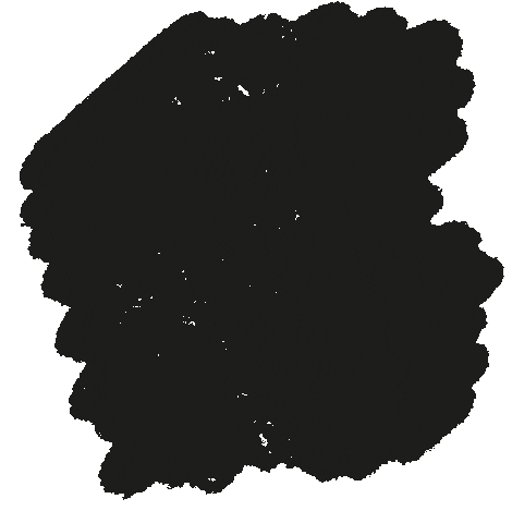 TEC Car Wash Sticker