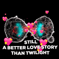 Twilight Love GIF by EMBL