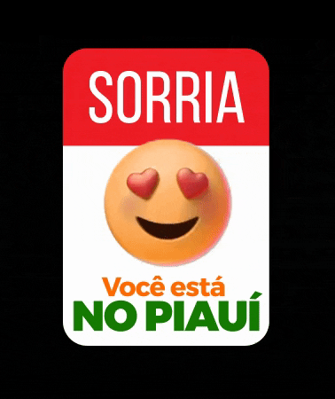 Nordeste Piaui GIF by Governo do Piauí