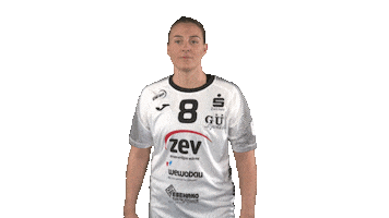 Handball Bundesliga Frauen Sticker