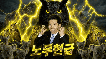 노무현 GIF