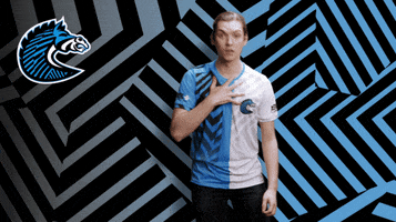 Zebras What GIF by BS+COMPETITION