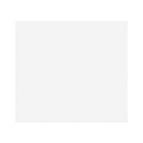 Belle & Blush Sticker