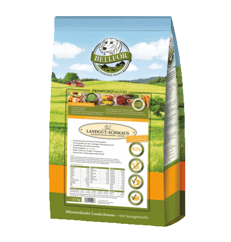 Bell4 Sticker by Bellfor