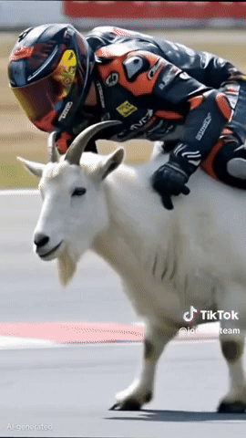 Race GIF