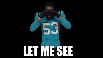 Let Me See Brian Burns GIF by Carolina Panthers