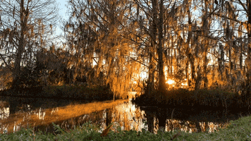 200.gif?cid=fc005b08c9b09bc80a454f0d12a0953e959b6d38f7c8f205&rid=200.gif&ct=g