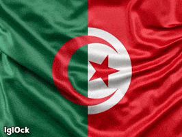 Algeria Tunisia GIF