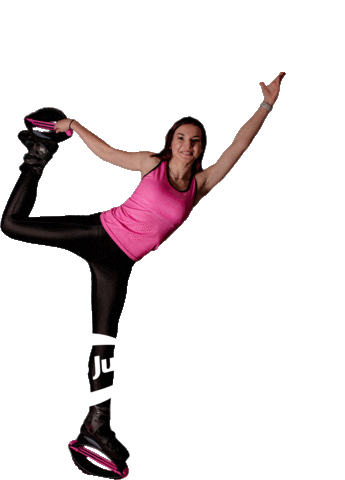 KangooClubLietuva Sticker