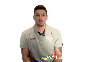 Handball Laola1 Sticker by Sportradar