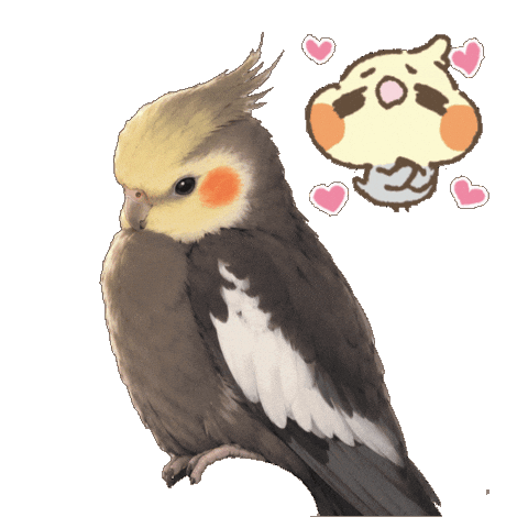 Pet Cockatiel Sticker
