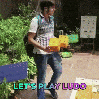 Do you still play ludo
