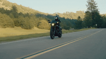 Happy Ride GIF by Harley-Davidson