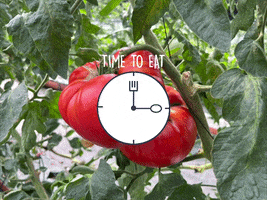 PLANBE GIF