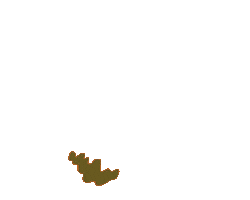 EverDerm Laser Center Sticker