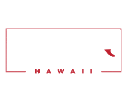 Logo Surf Sticker by Surfboard Factory Hawaii