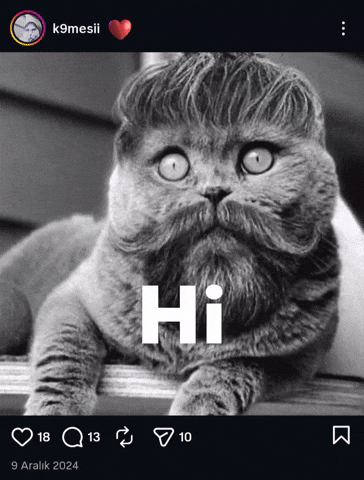 Scottish Fold GIF
