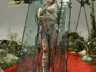 giphy.gif?cid=4d1e4f29d5f289c92c8b2143bf