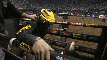 uh oh yes GIF by Professional Bull Riders (PBR)