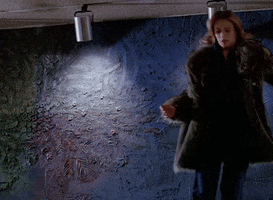 Fur GIF
