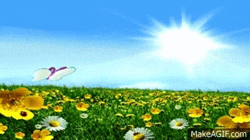 200.gif