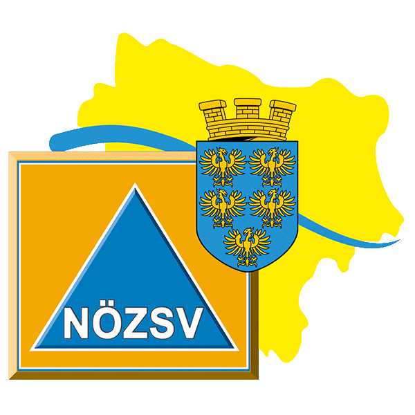 noezsv Sticker