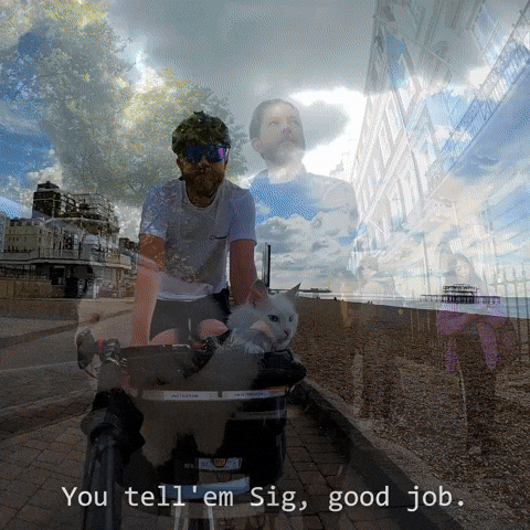 Hiss GIF