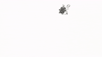rbycw judge judy GIF