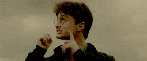 Harry-potter GIFs - Get the best GIF on GIPHY