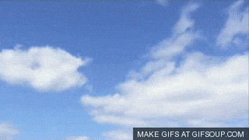 Incredible GIFs - Find & Share on GIPHY