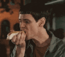jim carrey lloyd GIF by Dumb and Dumber To