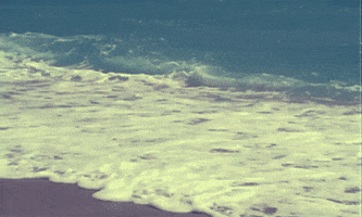 beach GIF