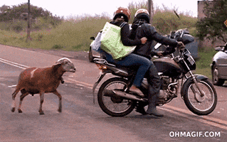 Attack Motorcycle GIF