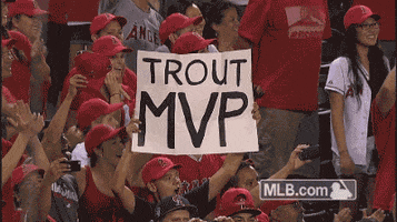 Mike Trout Baseball GIF by MLB