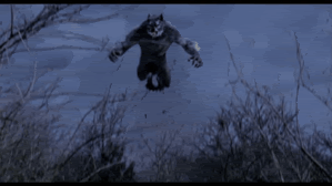 Wolf GIF