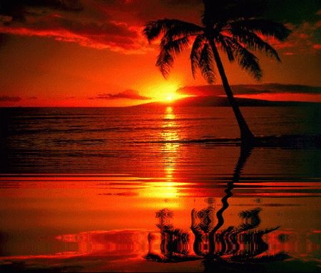 Sunset Beach Aesthetic Gif : We Hope You Enjoy Our Growing Collection