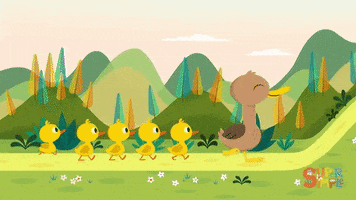 ducks duckling GIF by Super Simple