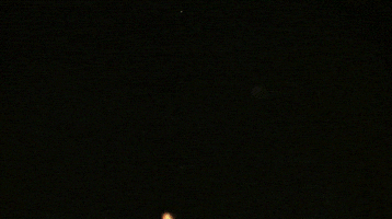 Sea Anemone Water GIF by TED