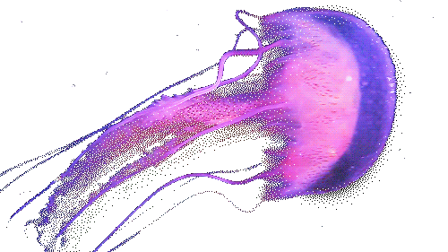 Source: undefined Source: undefined