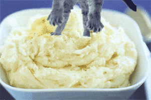 Soothing Mashed Potatoes GIF