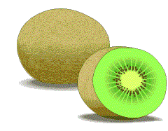 Image result for GIF kiwi's