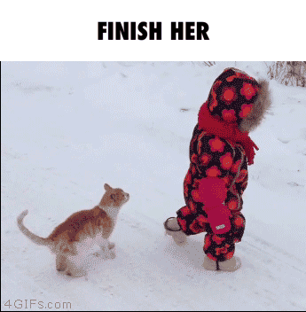 Combat Finish GIF
