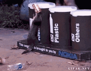 Trash Standing GIF - Find & Share on GIPHY