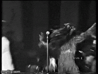 Best will turner GIFs , Primo GIF , Latest Animated GIFs