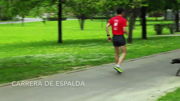 raquelrodriguez  GIF